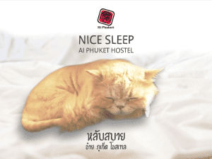Ai Phuket Hostel