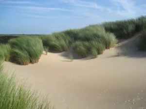 Aesthetic beach landscape