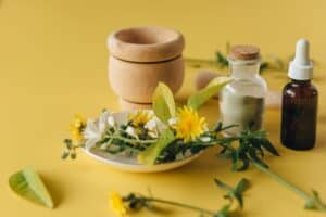 yellow flowers in brown clay pot